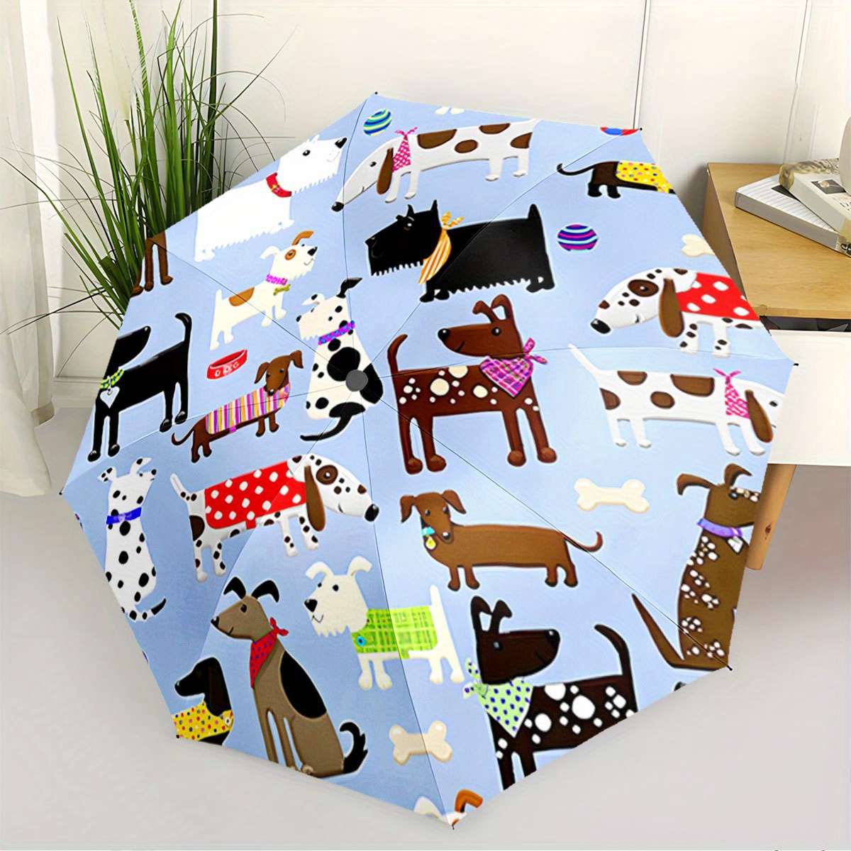 Umbrella Quantity One Piece