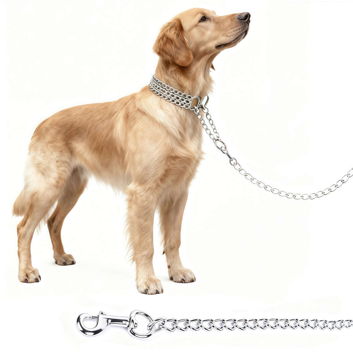 Dog Leash Size 65.0Cm*0.3Cm