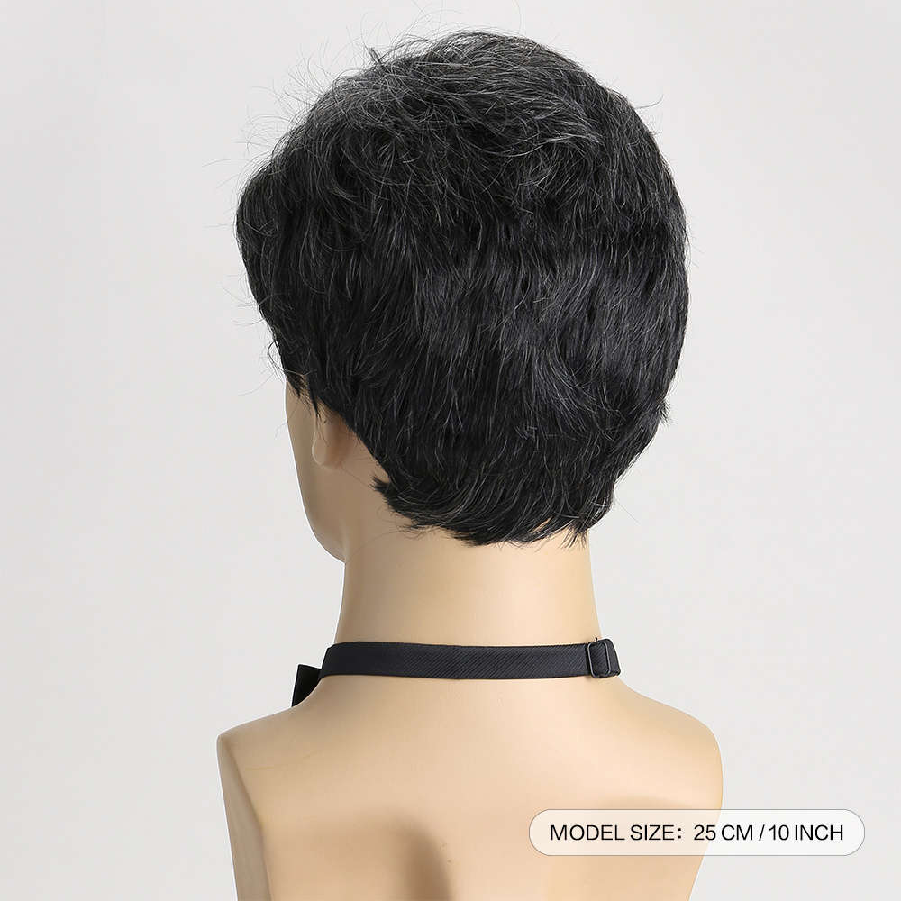 Dark Gray Mens Wigs Hair Length 25.4Cm