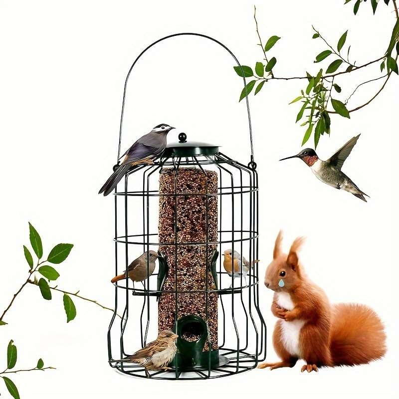 Birdcage Color Black Modelg1115 W031 2