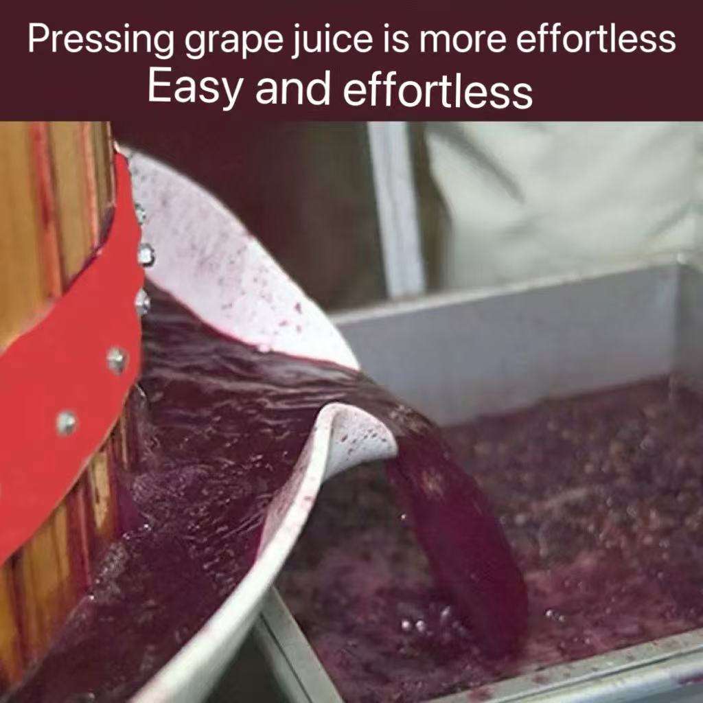Juicer Model 6L