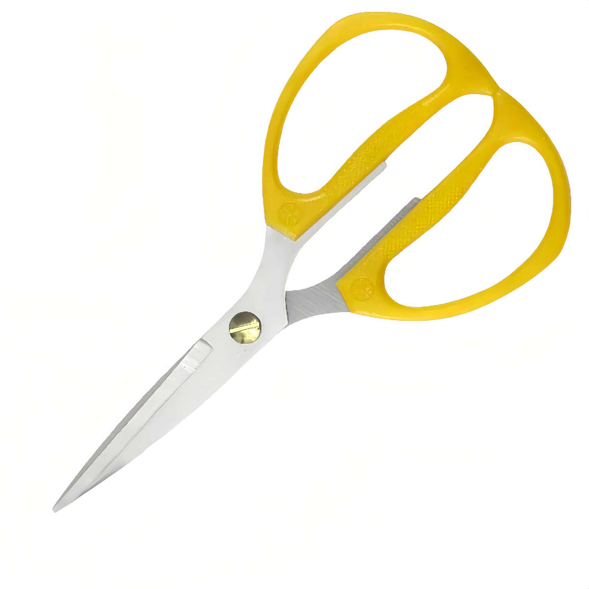 Scissors Color 2Pcs