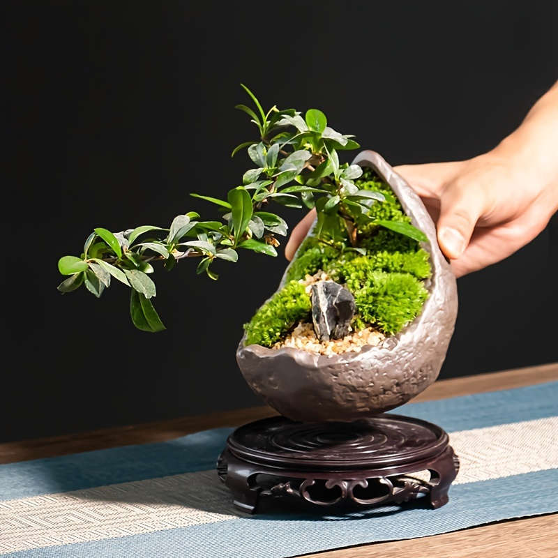 Flowerpot Style 1 Moon Shape