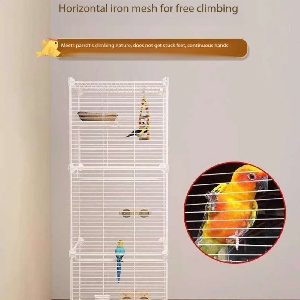 Birdcage Model 2 Layers Of Transparent
