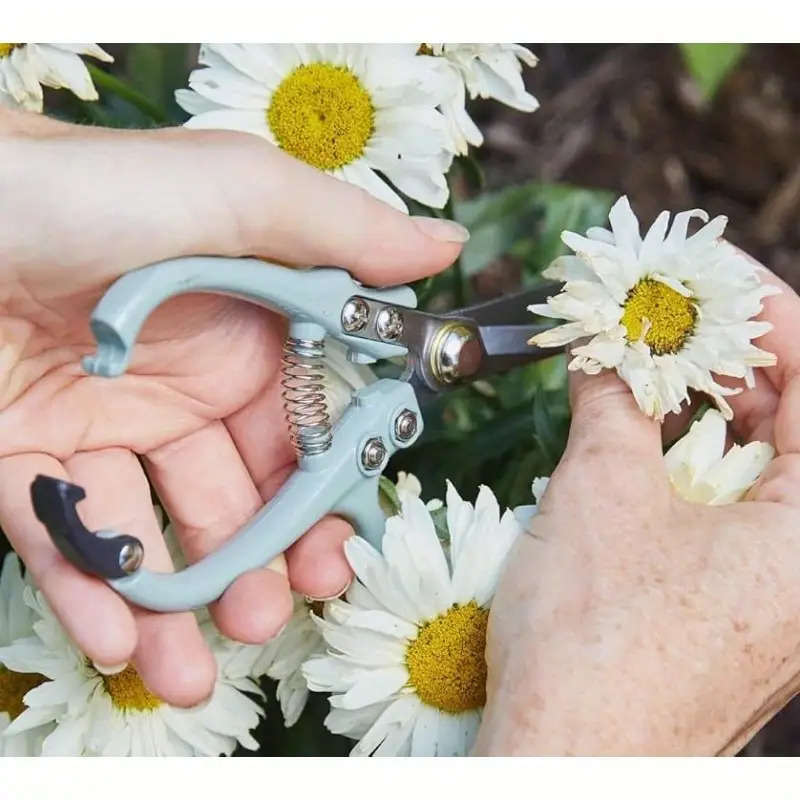 Scissors Quantity