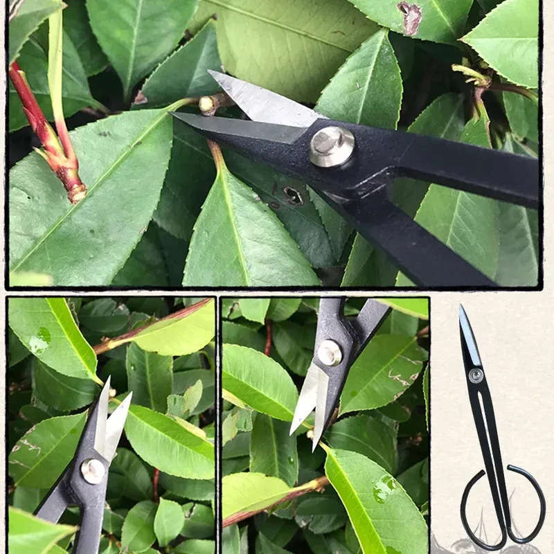 Garden Supplies Color 18.5Cm Garden Shears