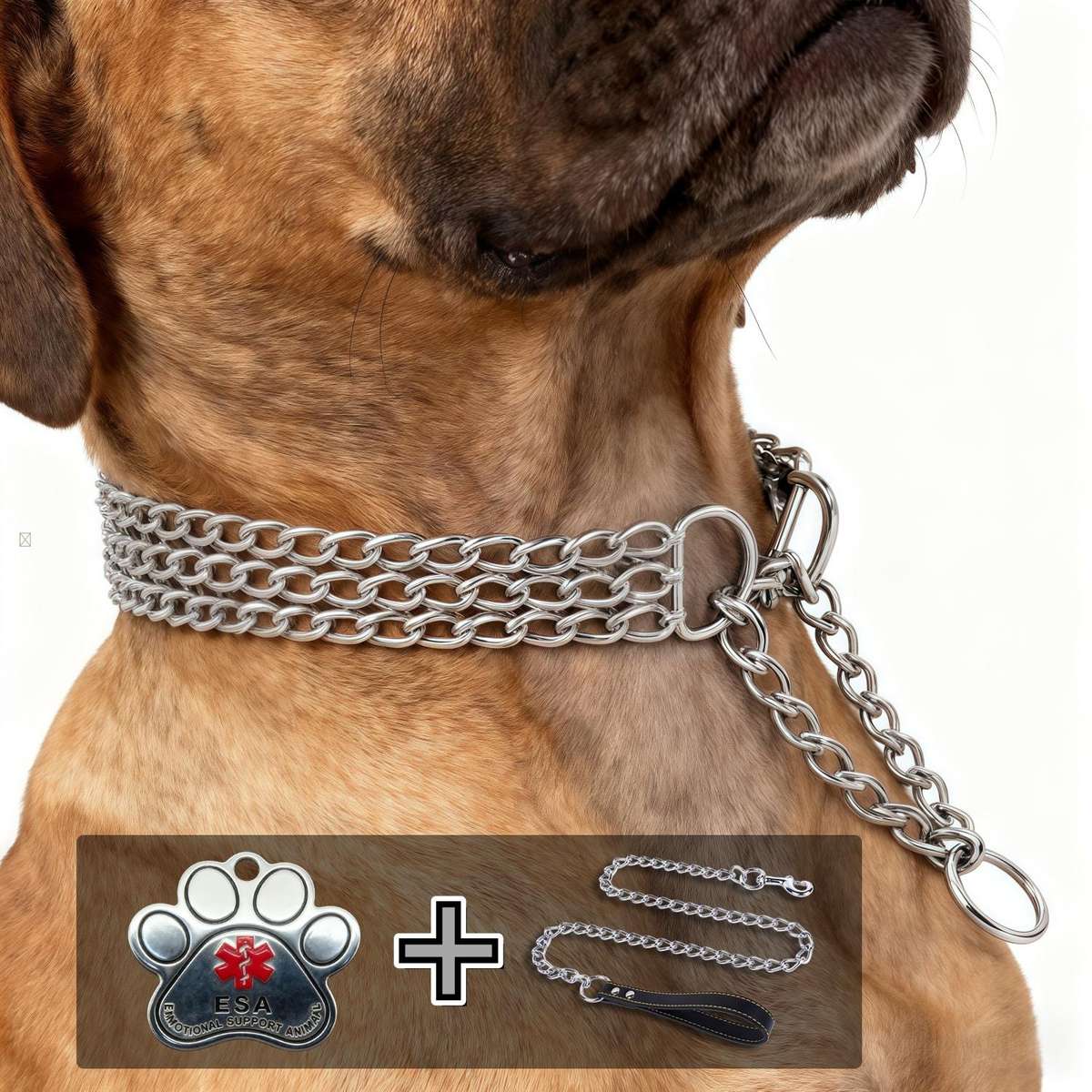 Dog Leash Size 65.0Cm*0.3Cm