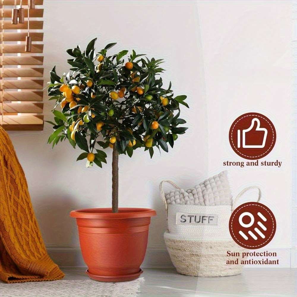 Flowerpot Size 25.4 Cm 5 Pack