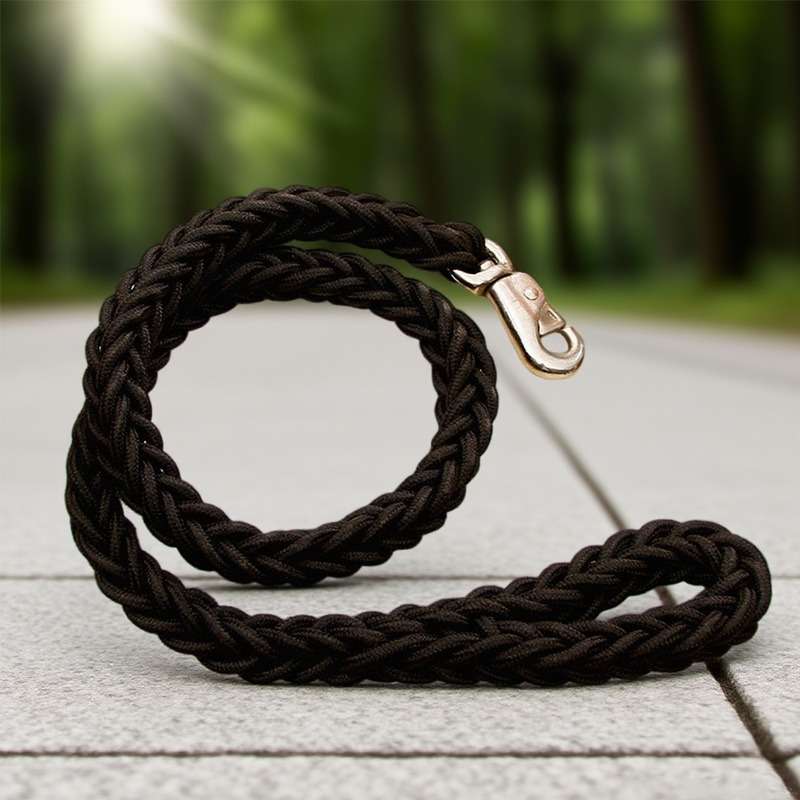 Dog Leash Color Black Size S Width 1.5Cm