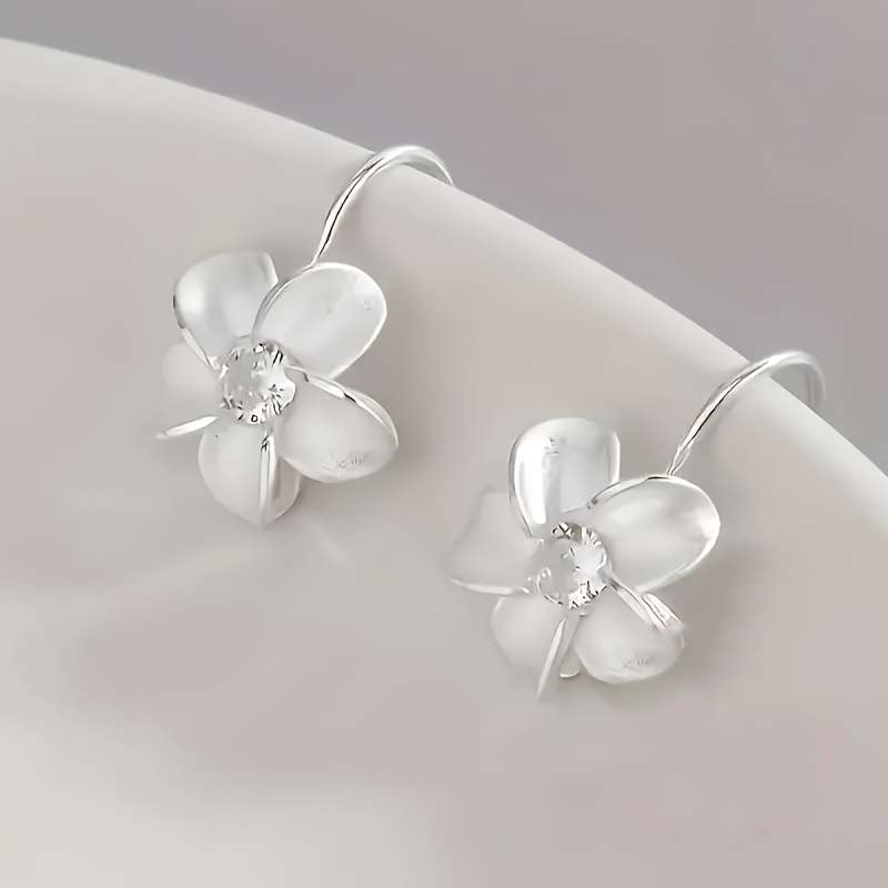 Women S Earrings Color Silvery