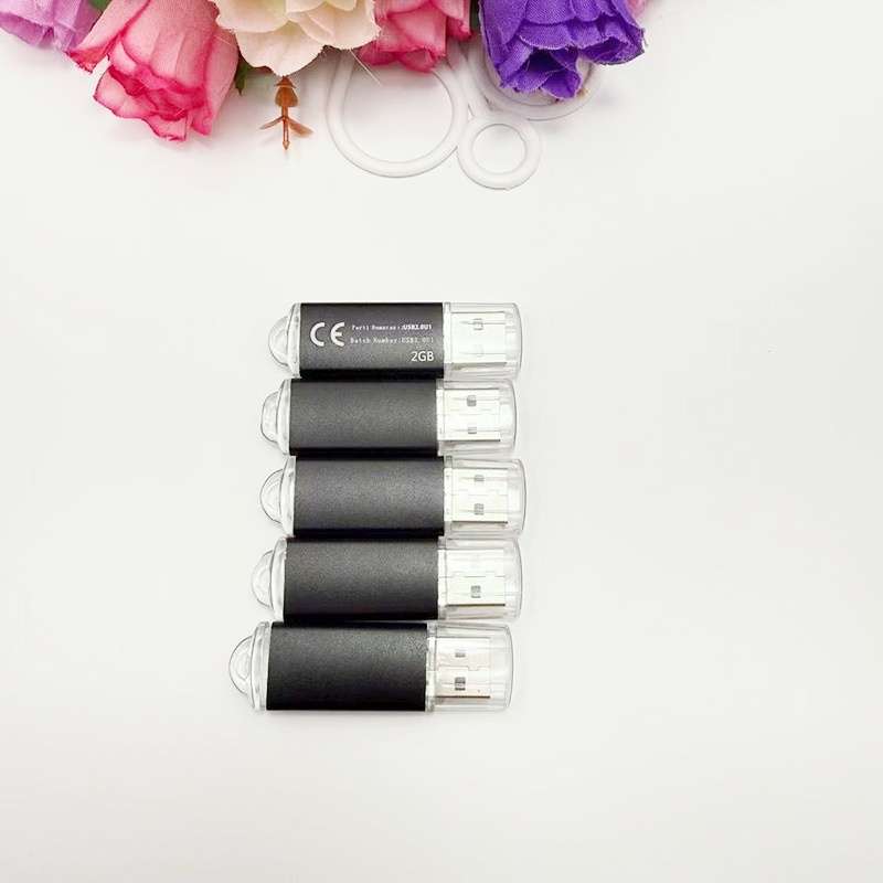 Usb Flash Drive Color 5Pcs Black Storage 2Gb