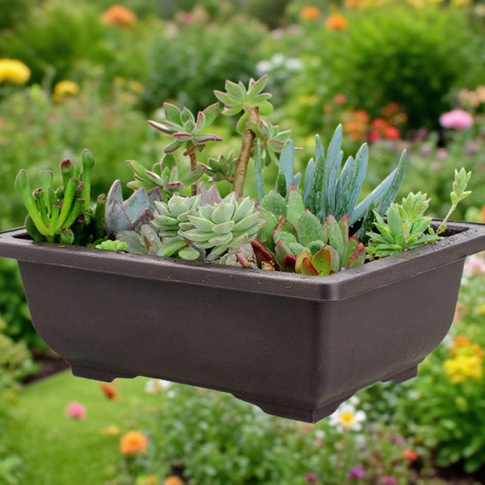 Flowerpot  Flower Pot-6Pcsmaterial Plastic