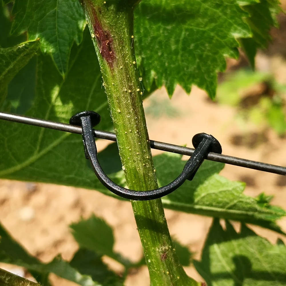 100Pcs Plastic Grape Vine Branch Hooks