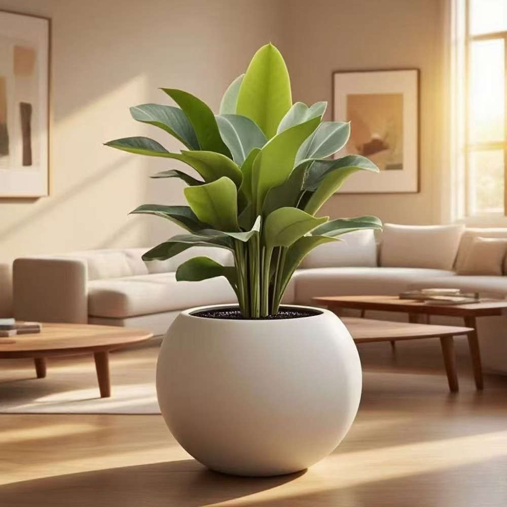 Flowerpot Material Plastic Sizel20*15.6 Cm Two Pack