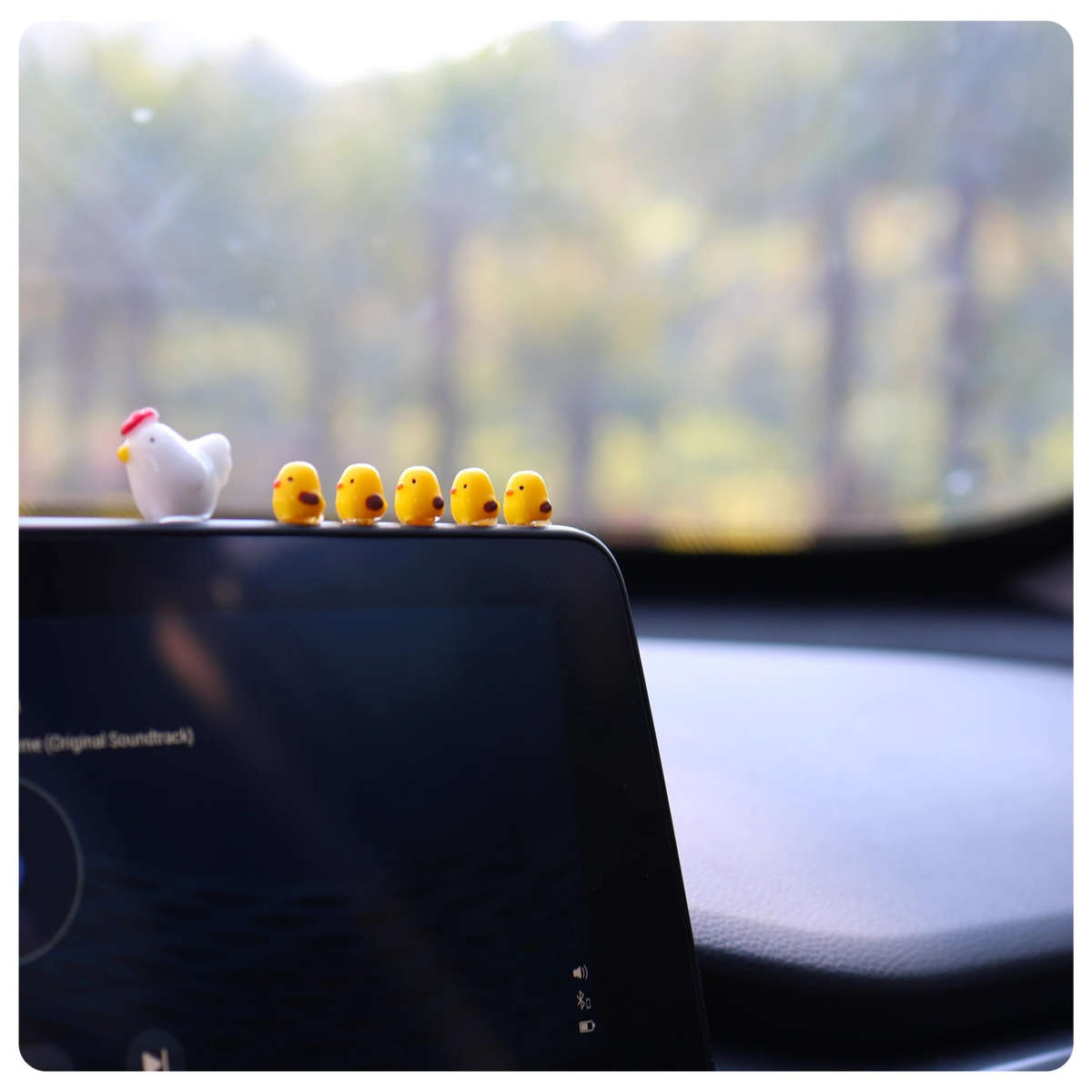 Car Interior Decor Items Old Hen  Add  5 Chicks