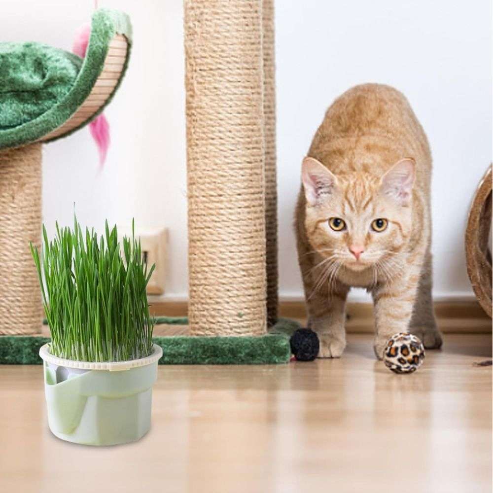Flowerpot Style Style1