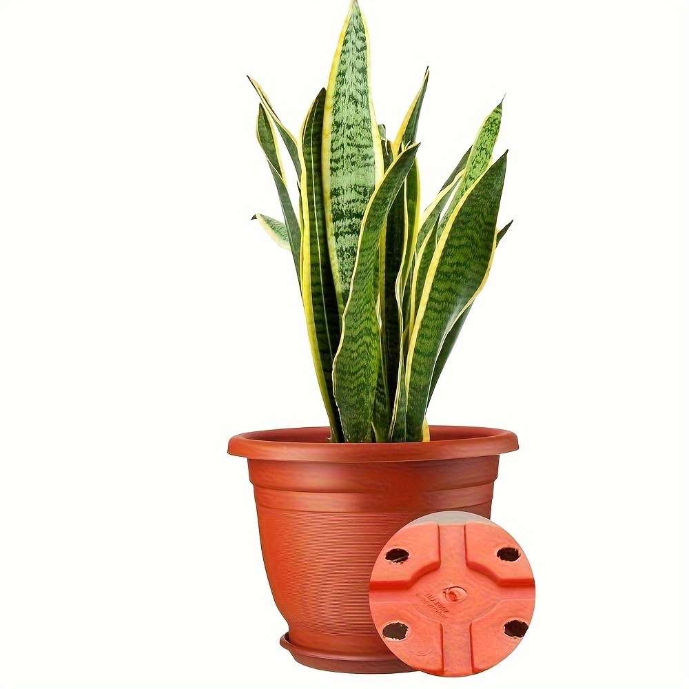 Flowerpot Size 25.4 Cm 5 Pack