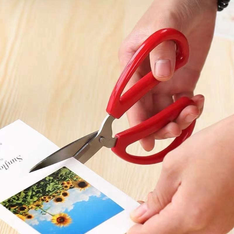Scissors Size S