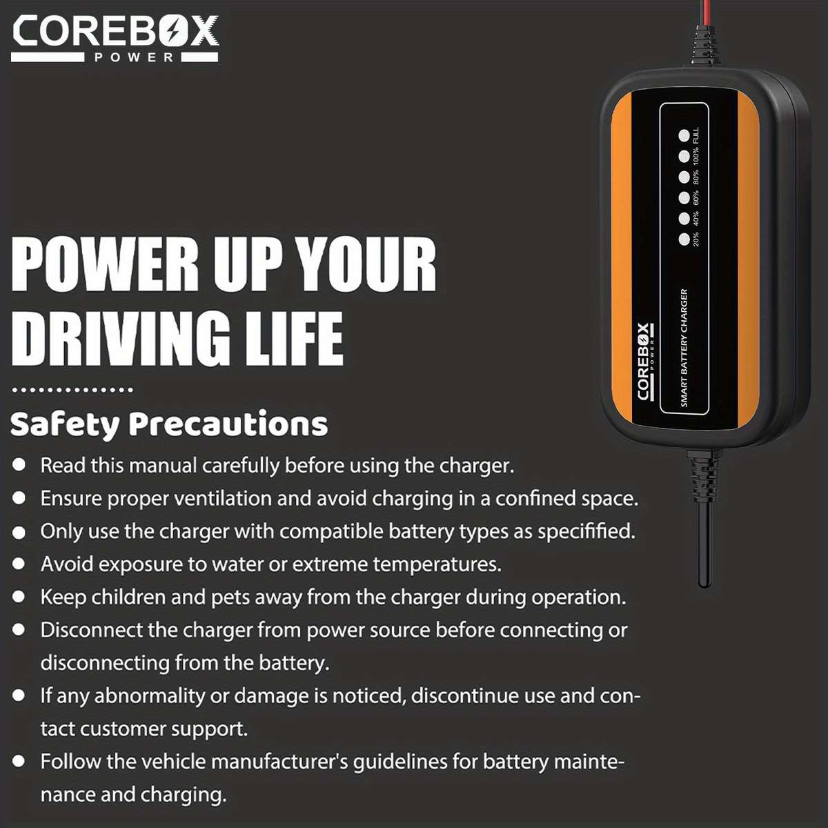 Charger Items 12V 2A