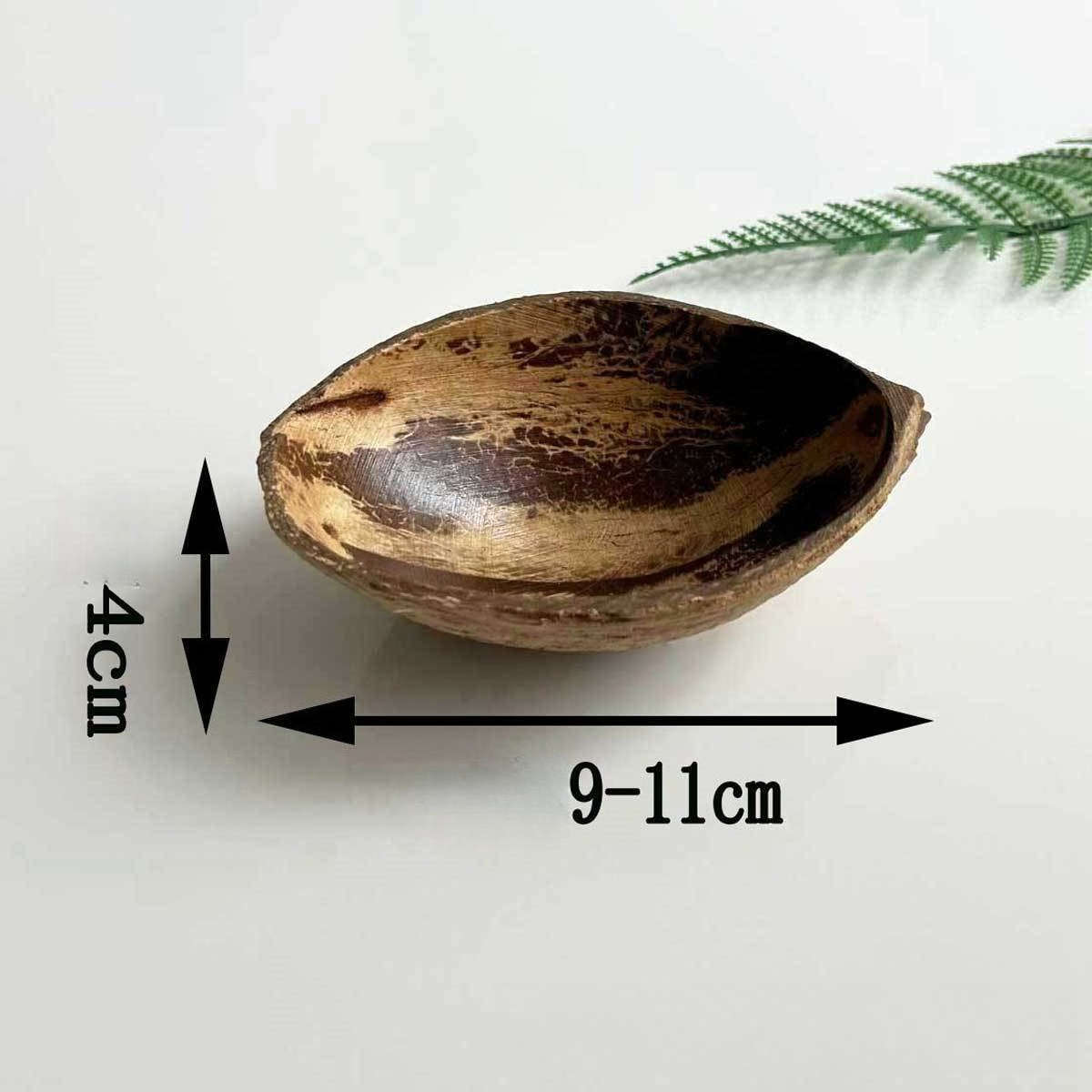 Bowl Color Halfnatural Type 2Pack