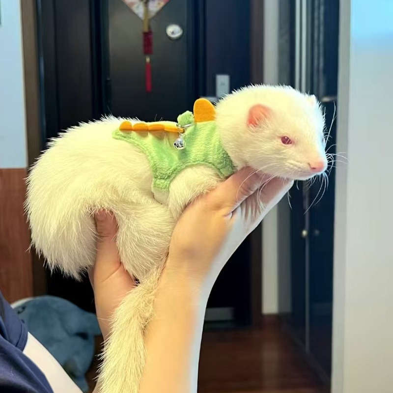 Pet Supplies Color Green