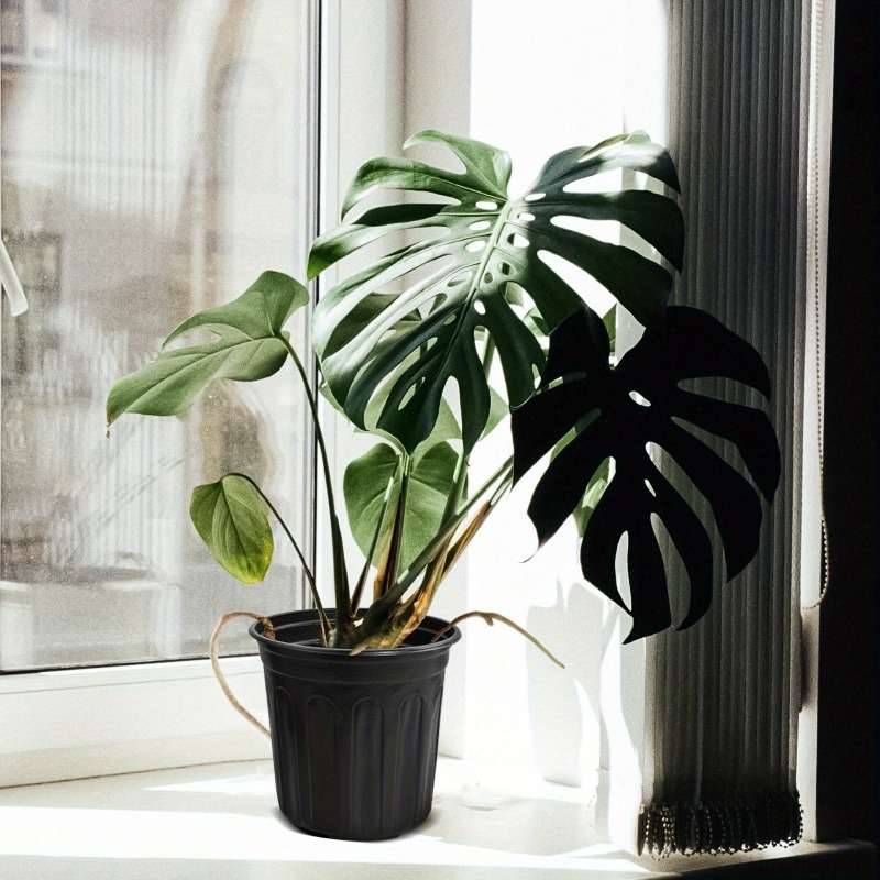 Flowerpot Color Ink Black Quantity5Pcs