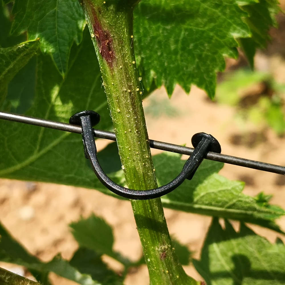 100Pcs Plastic Grape Vine Branch Hooks