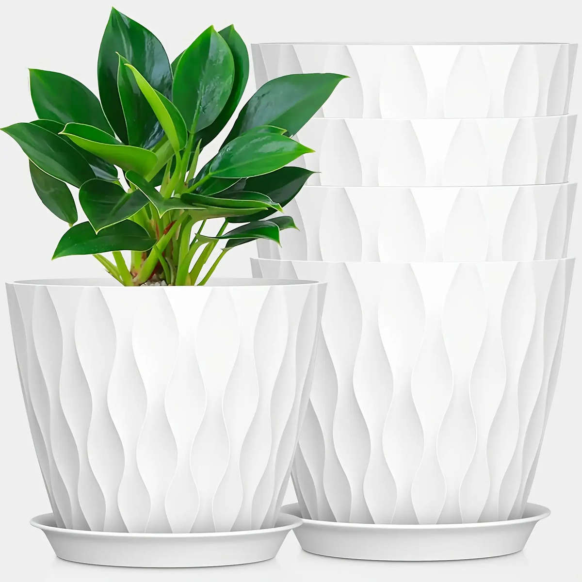 Flowerpot Color Black  Quantity5Pcs