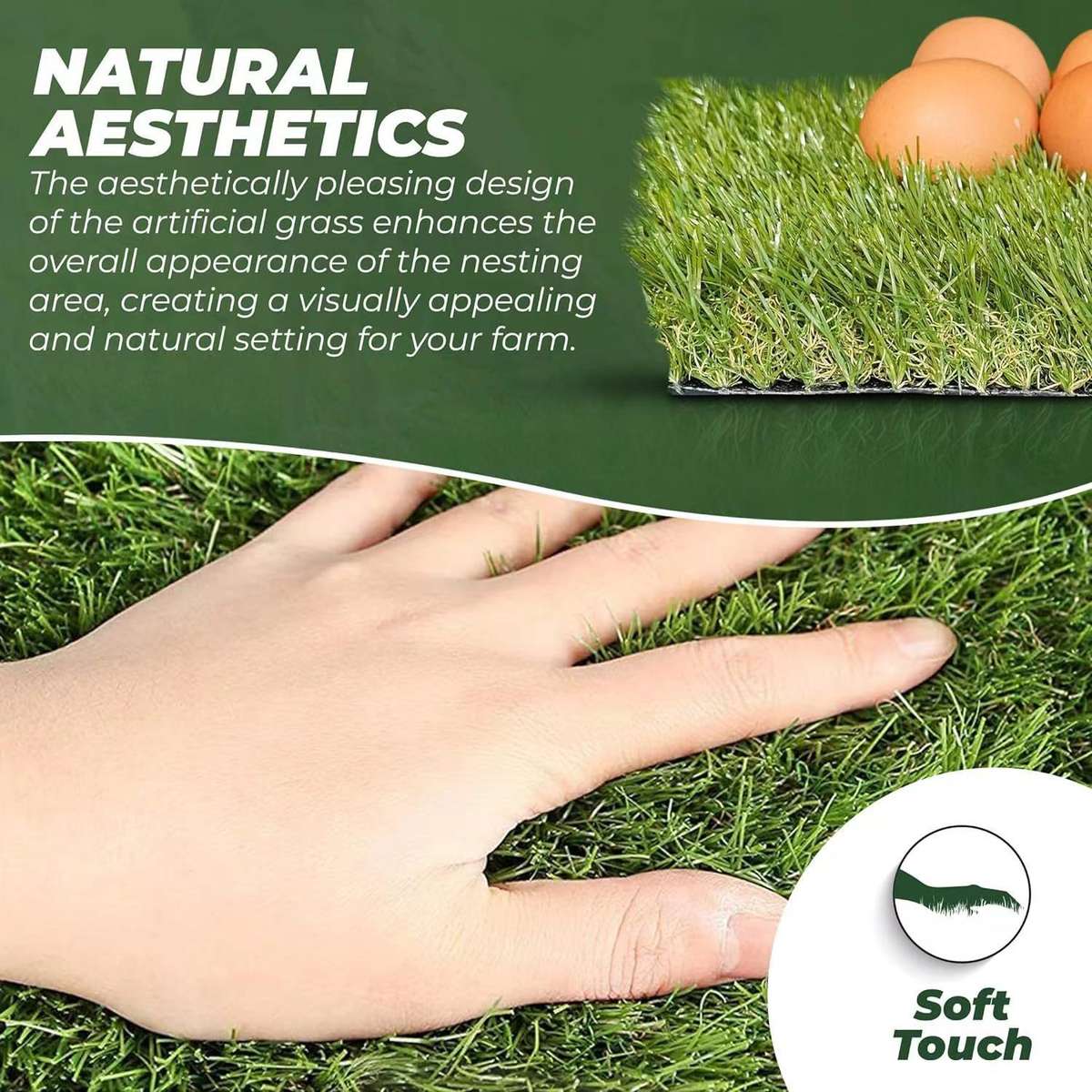 Pet Supplies Color 6Pack