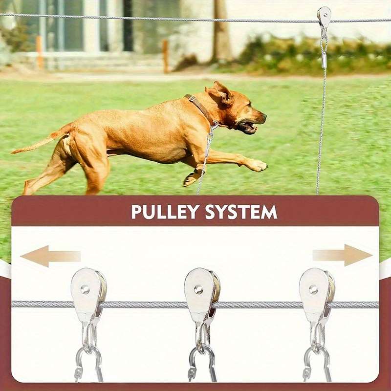 Dog Leash Size L