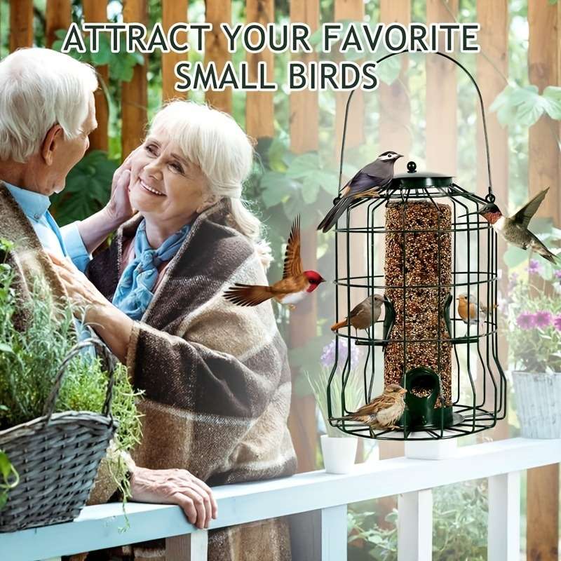 Birdcage Color Black Modelg1115 W031 2
