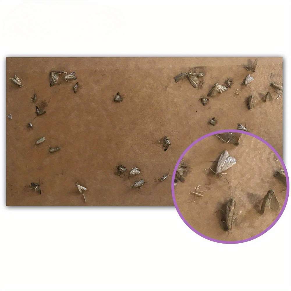 Fruit Fly Traps Model 1 Box Of Moth Catchers  5 Bags In A Color Box
