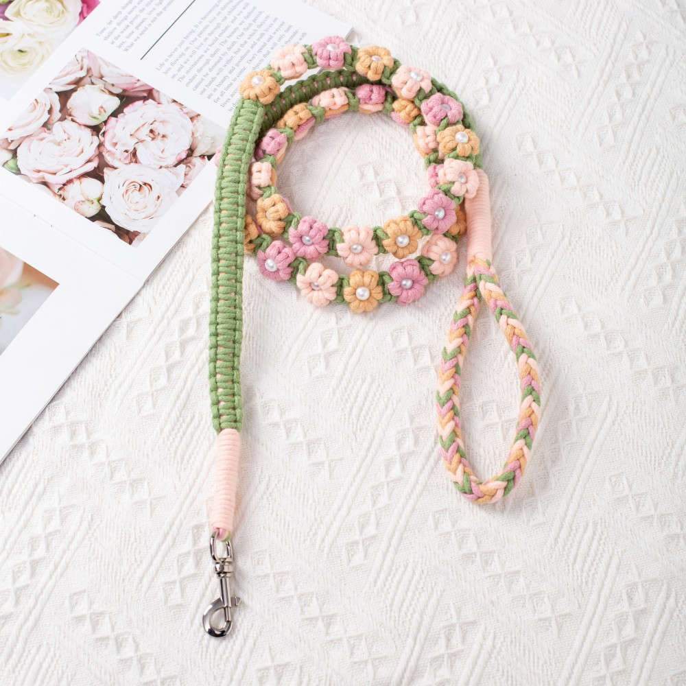 Dog Leash Color Number 5
