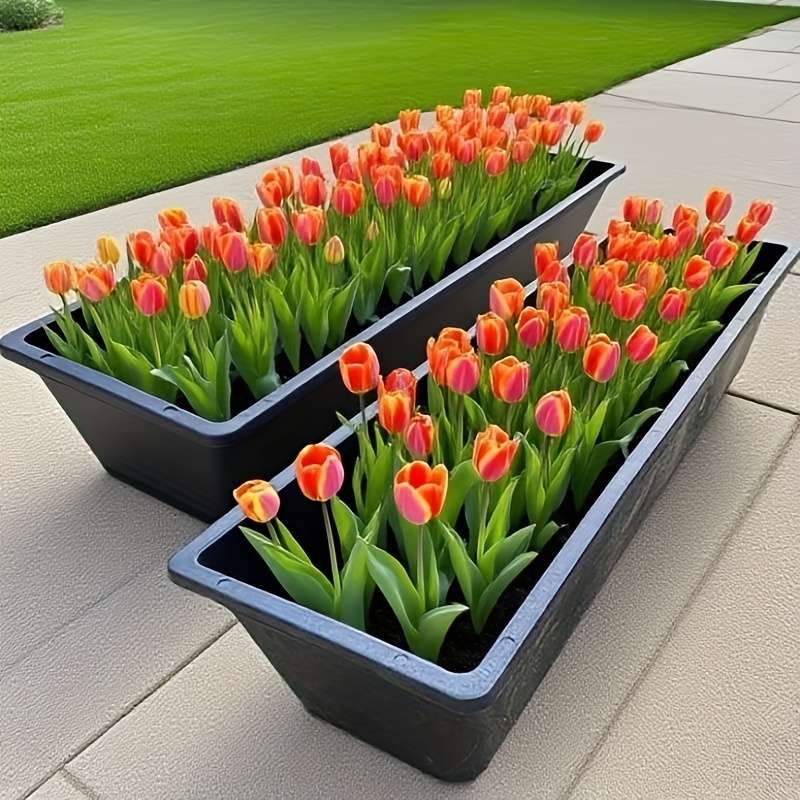 Flowerpot Size 1