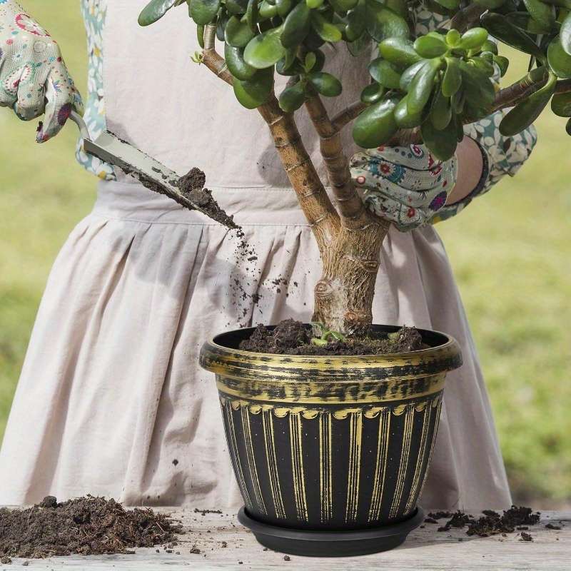 Flowerpot Size 185 Mm   5 Piece Set