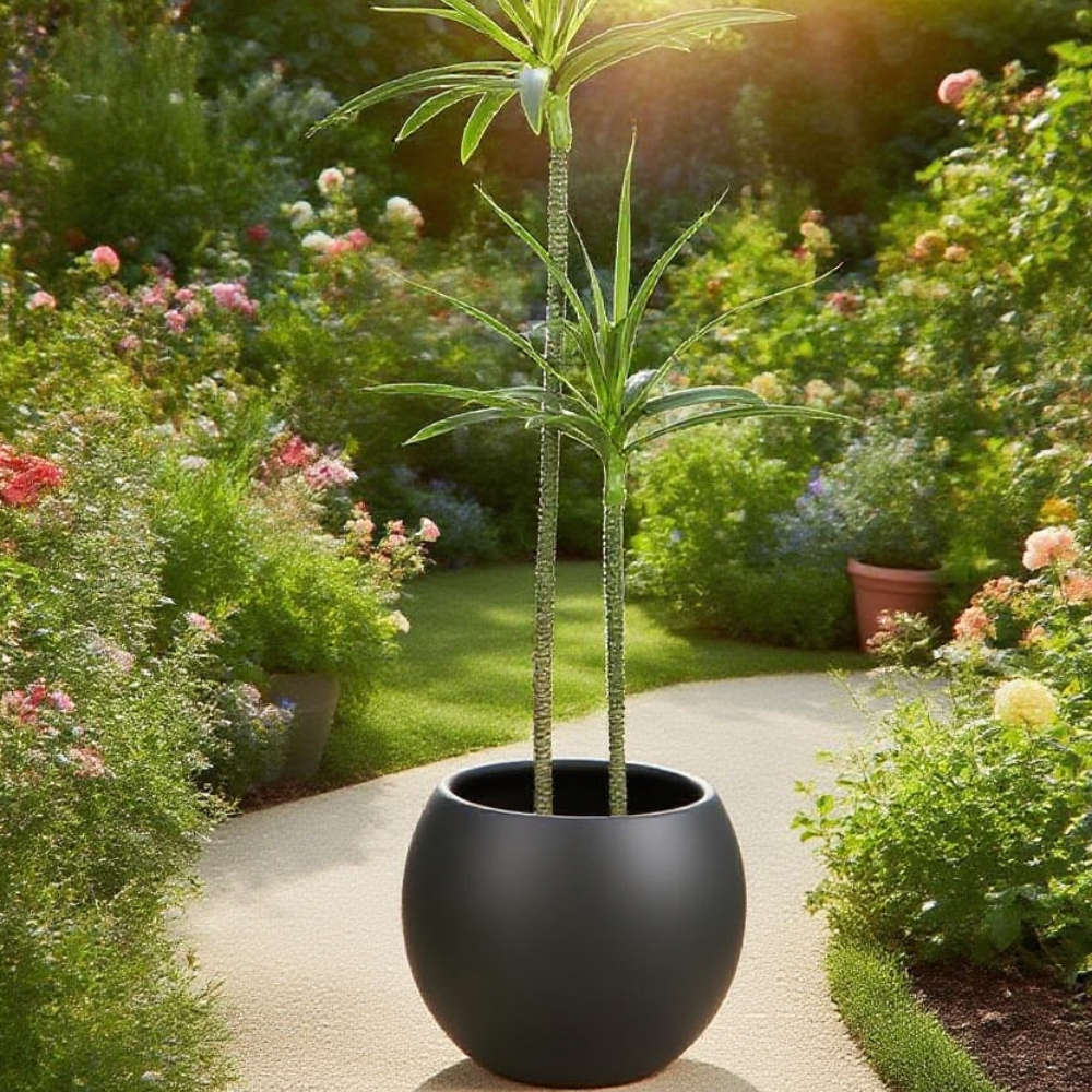 Flowerpotsize Size 18Cm Blackcolor  Empty Basin
