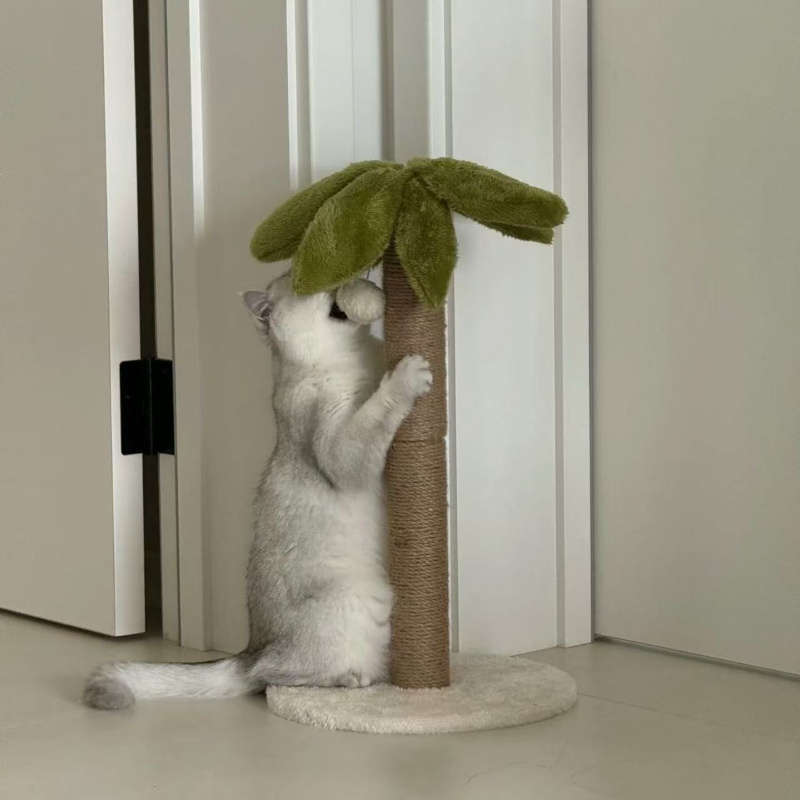 Pet Supplies Model Upgraded Wear  Resistant Version Items 1Pc