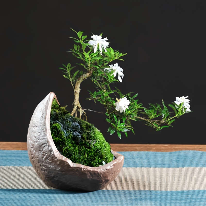 Flowerpot Style 1 Moon Shape