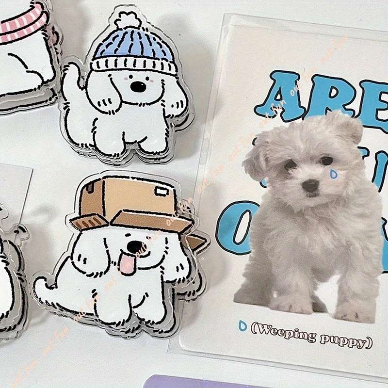 Clip Random 3Pcs