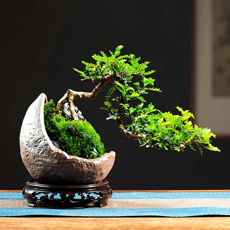 Flowerpot Style 1 Moon Shape