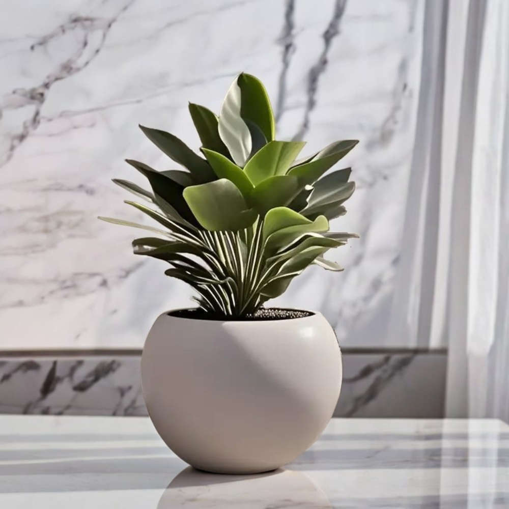 Flowerpot Material Plastic Sizel20*15.6 Cm Two Pack