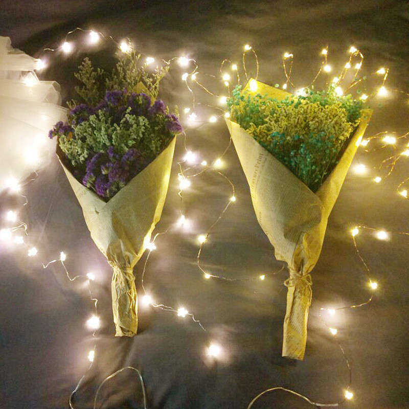 Christmas Lights Multicolor Model 100Cm 39.37In
