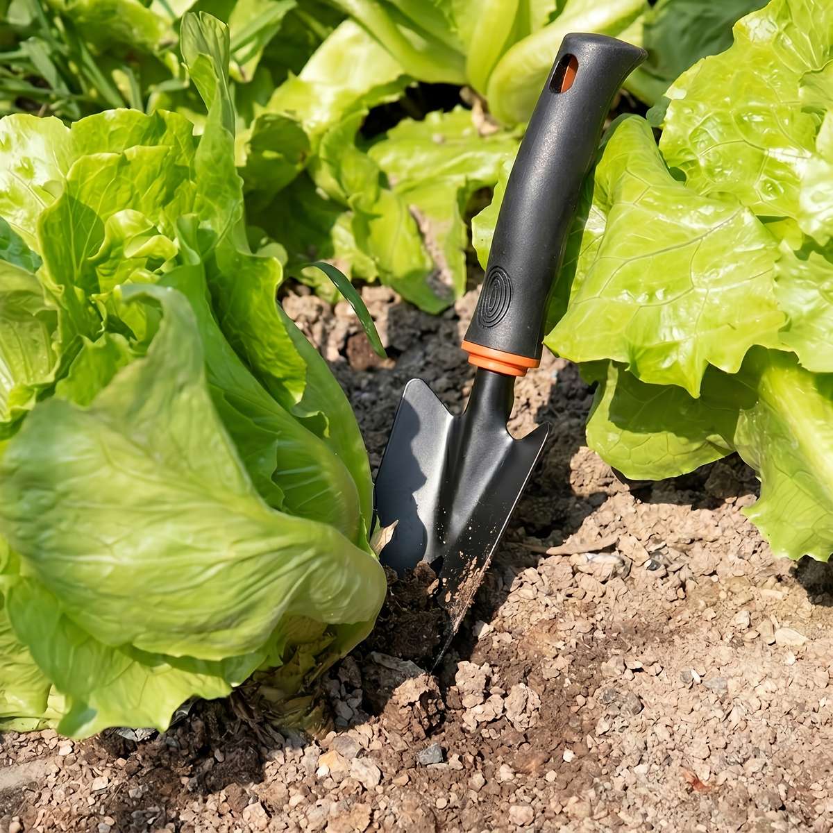 Garden Supplies Color Transplanter