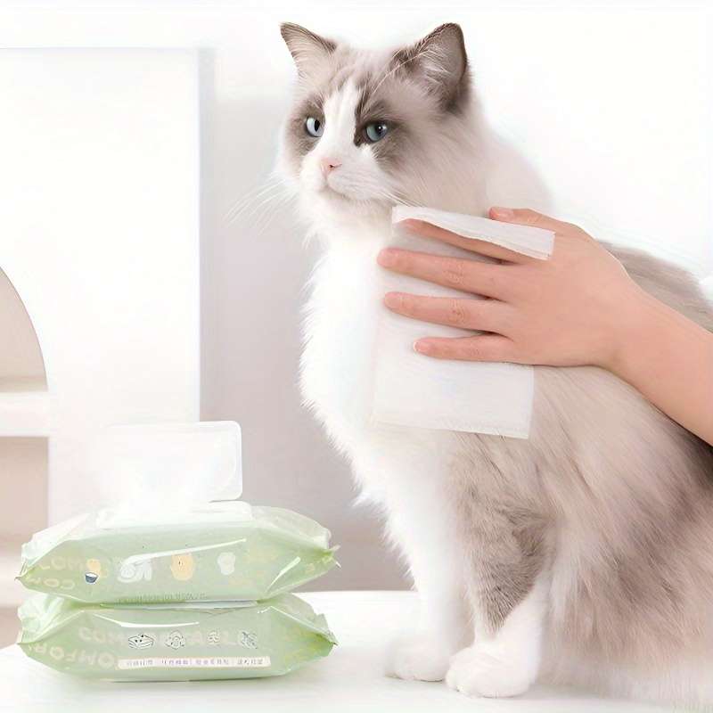 Wet Wipes Items 2Packs160 Sheets