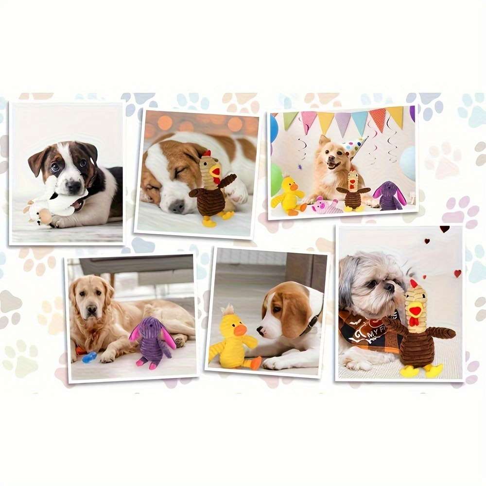 Plush Toyss color 5 pieces pack