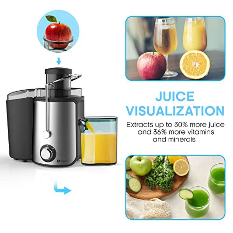 Juicer Color Silvery