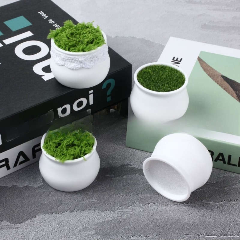 Flowerpot Size 5.0Cm*3.99Cm Quantity6Pcs