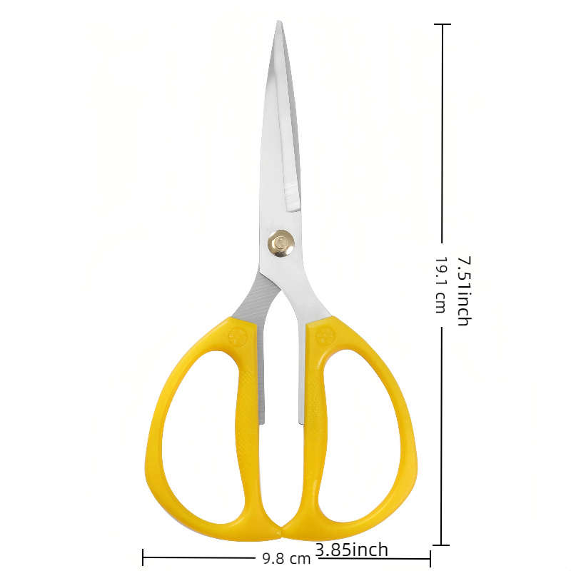 Scissors Color 2Pcs