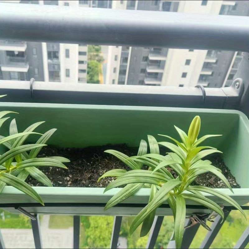 Flowerpot  6Pcs  3Pcs Flower Pot  Add  3Pcs Tray Color Dark Green