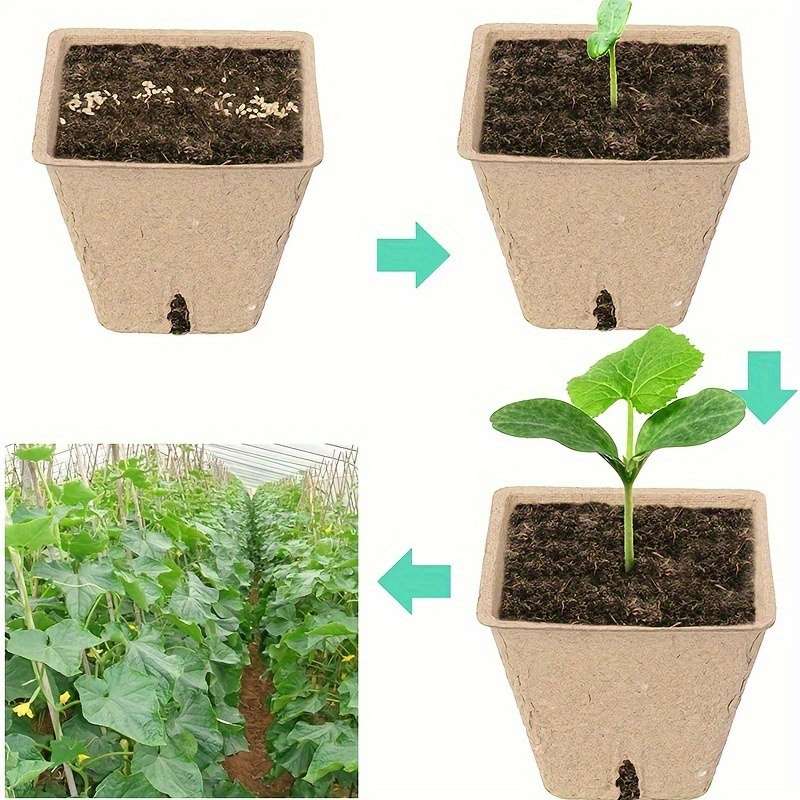 Flowerpot Quantity 5Pcs